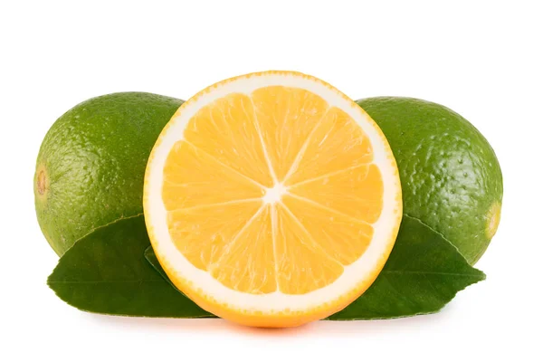 Limão verde e limão sobre fundo branco — Fotografia de Stock