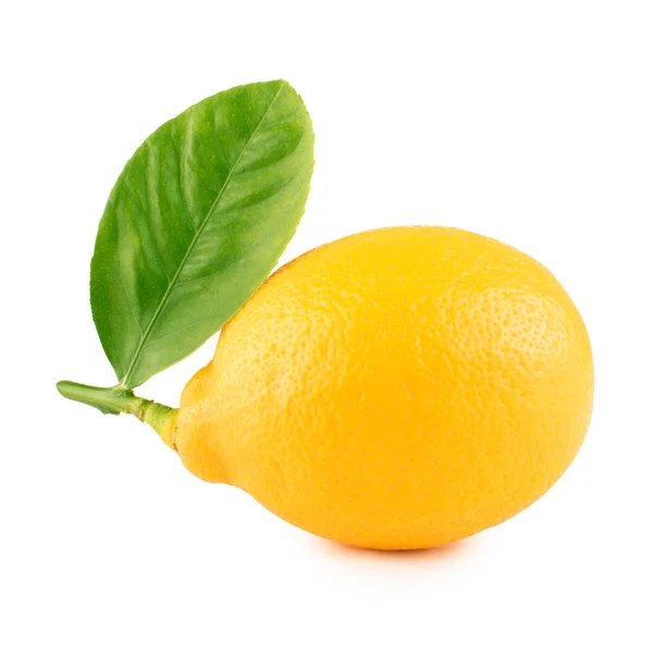 Limone Con Foglie Sfondo Bianco — Foto Stock