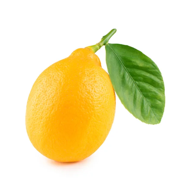 Zitrone Mit Blättern Auf Weißem Hintergrund — Stockfoto