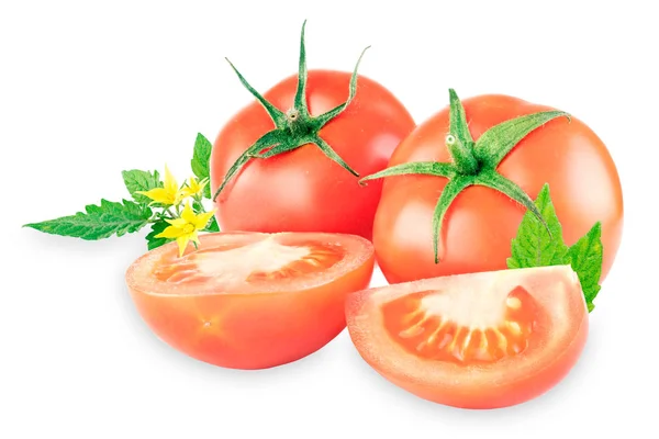 Pomodori di gruppo con foglie su sfondo bianco . — Foto Stock