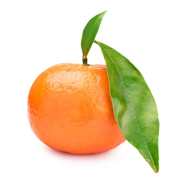 Un mandarino con foglie verdi su fondo bianco. Mandarino — Foto Stock