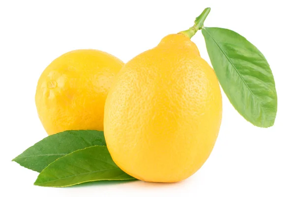 Limone giallo con foglie su fondo bianco — Foto Stock