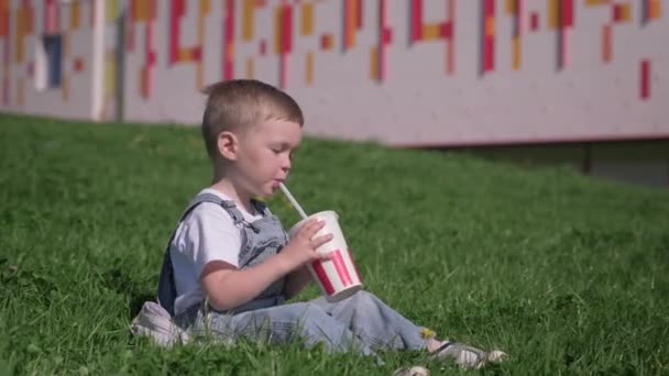 Cute blond boy sits on green grass and quenches his thirst in summer Sunny hot weather. Child drinks cold and refreshing soda cola from white paper cup through tube in hot heat city. — Stock Video