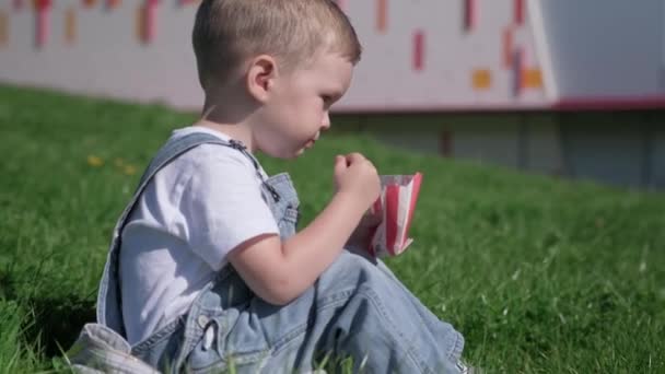 Attraktiv blond pojke i vit t-shirt på picknick på grön gräsmatta sitter och äter stekta pommes frites från snabbmatsrestaurang, doppar potatis i röd ketchup sås och lägger den i munnen. Skräp snabbmat — Stockvideo