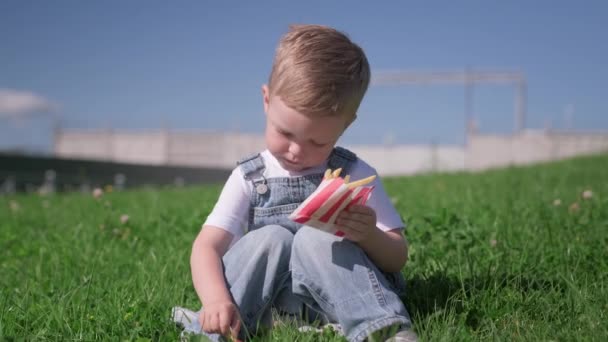 Attractive blond boy in white t-shirt on picnic on green lawn sits and eats fried french fries from fast food restaurant, dips potatoes in red ketchup sauce and puts it in his mouth. Junk fast food — Stock Video