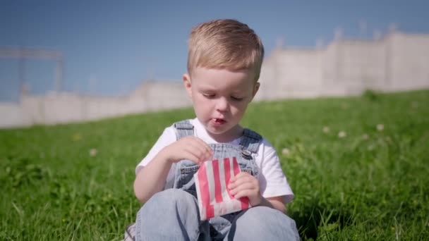 Głodny blond biały chłopiec jedzący smażone jedzenie, frytki siedzące na zielonej trawie na ulicy latem Słoneczna pogoda. Dziecko jedzące przekąski z ziemniakami fast food z sosem ketchupowym. Filmik o zwolnionym tempie — Wideo stockowe