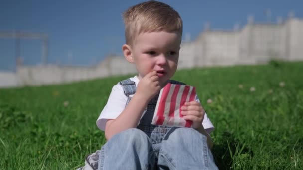 Powolny filmik z głodnym blondynem, białym chłopcem jedzącym smażone jedzenie, frytki siedzącym na zielonej trawie na ulicy latem, słoneczna pogoda. Dziecko jedzące przekąskę z ziemniakami fast food z sosem ketchupowym — Wideo stockowe