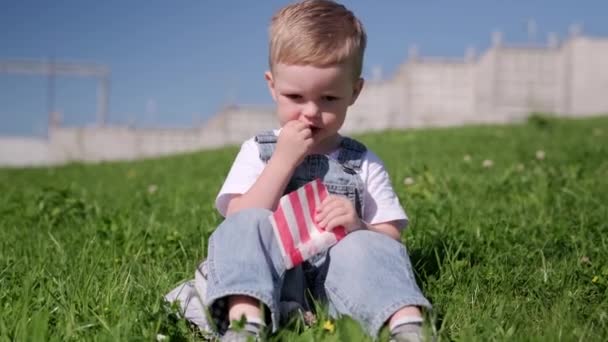 Hungry blond caucasians boy eating fried food, french fries sitting on green grass on street in summer Sunny weather. Child eating snack with fast food potatoes with ketchup sauce. — Stock Video