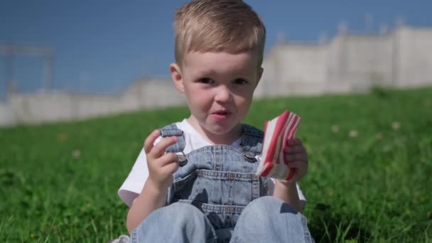 Hungry blond caucasian boy eats fried food, French fries, sitting on green grass on the street in summer sunny weather looks at camera and indulges, shows different emotions of joy on his face. — Stock Video