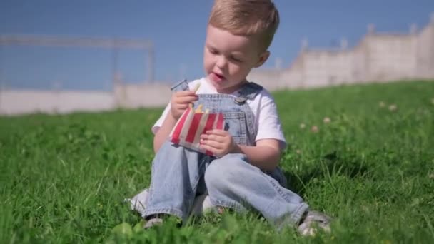 Rubio chico caucásico se sienta en la hierba en el tiempo de verano al aire libre y come papas fritas fritas, niño pone papas en salsa de barbacoa roja y los pone en su boca. Comida rápida y snacks en la naturaleza. — Vídeo de stock