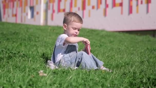 Blond Caucasian boy sits on grass in summer weather outside and eats fried French fries, child puts potatoes in red barbecue sauce and puts them in his mouth. Fast food and snacks in nature. — Stock Video