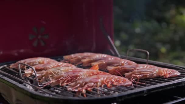 Many large prawns are cooked on grill of barbecue grill close-up in summer sunny weather on picnic. Seafood shrimp cooked on barbecue over an open fire in close-up. Medium shot, orbital flight camera — Stock Video