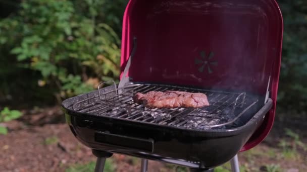 Girl is having picnic in summer and taking photos on her phone of large juicy piece of marbled beef tenderloin that is being prepared on BBQ grill. Beef steak is grilled on coals in nature. — Stock Video