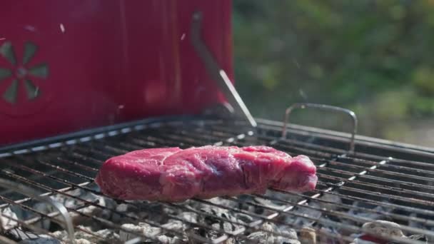 Roh marmoriertes Rib Eye Beef Steak wird über heißer Holzkohle auf dem Grill eines Grills gekocht. Grillpicknick mit Rinderfilet wird bei sonnigem Sommerwetter zubereitet. — Stockvideo
