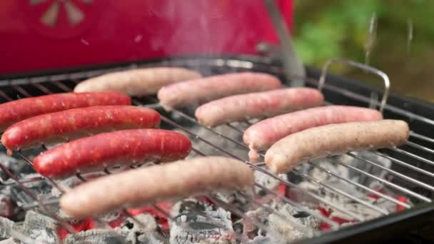 Des saucisses fermées à base de bœuf, de poulet et de porc sont grillées sur un barbecue chaud. Mélange de saucisses crues faites à partir de différentes viandes cuites sur des charbons chauds de gril dans la nature par temps ensoleillé. — Video