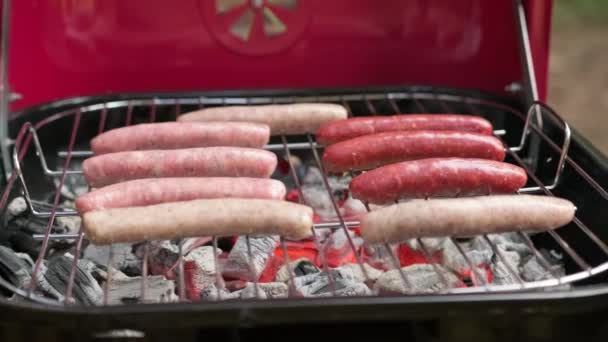 Close-up mix van rauwe worsten gemaakt van verschillende vlees gekookt op hete kolen van grill in de natuur bij zonnig weer. Worst gemaakt van rundvlees, kip en varkensvlees worden gegrild op hete BBQ grill. — Stockvideo