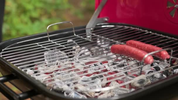 Camping d'été avec cuisine de saucisses sur gril. Cook utilise des pinces de fer pour étaler des saucisses de bœuf crues poulet et porc sur le barbecue au charbon chaud par temps ensoleillé en été — Video