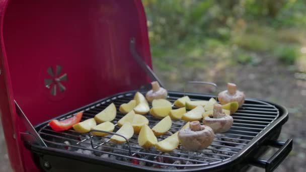 Barbecue chaud-rouge se tient dans la nature dans les bois et fume. Viande et légumes sont cuits dans un barbecue fermé dans la nature. — Video