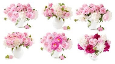 Güzel güller ve şakayık çiçekleri beyaz arka planda izole edilmiş.