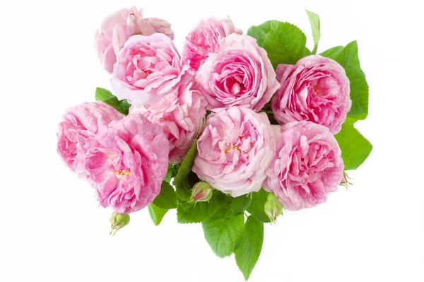 Bella Rosa Mazzo Rose Isolato Sfondo Bianco — Foto Stock