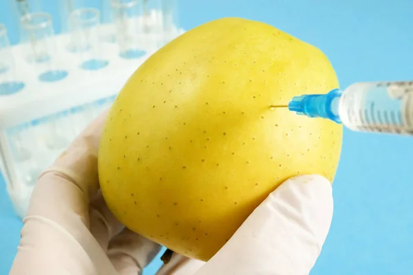 Jablko Laboratoři Genetického Inženýrství Injekční Stříkačkou Zkumavkami Modrém Pozadí Gmo — Stock fotografie