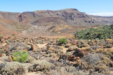 Teide Ulusal Parkı, Roque Cinchado eşsiz kaya oluşumu ünlü Pico del Teide dağ volkanı, muhteşem çöl manzarası Teide, Tenerife, Kanarya Adaları, İspanya
