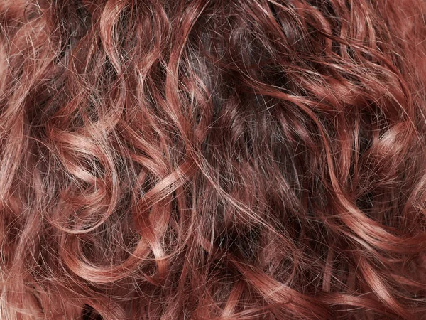 Brązowe Kręcone Włosy Zbliżenie Tło Kobieta Tekstury Włosów — Zdjęcie stockowe