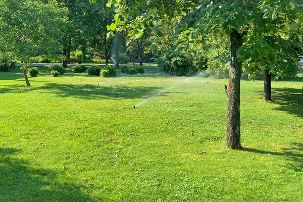 都市の公園の自動散水 草や木の散水 緑の公園 散水芝生 花や木で働く完全な自動散水灌漑システムで活性化スマートガーデン スプリンクラーヘッド散水 園芸の概念 — ストック写真