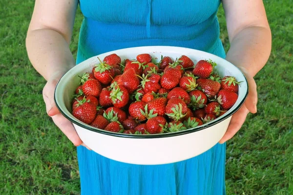 Amontonar Fresas Plato Grande Las Manos Mujer Fondo Hierba Verde —  Fotos de Stock