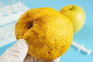 Elma, genetik mühendisliği laboratuvarında mavi arka planda şırınga ve test tüpleriyle, GMO gıda kavramı