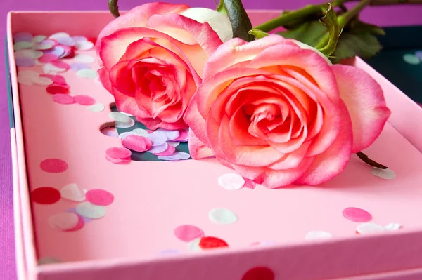 Beautiful pink roses bunch and box with confetti