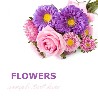 Beyaz arka planda izole güzel güller