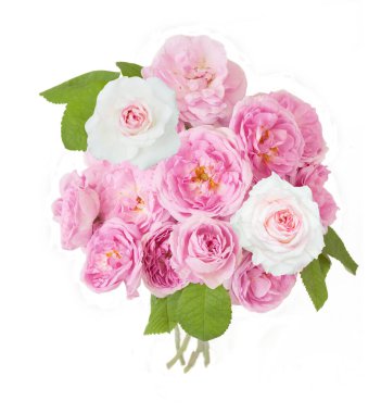 Beyaz arka planda izole güzel güller