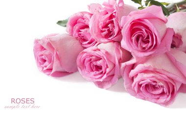 Beyaz arka planda izole güzel güller