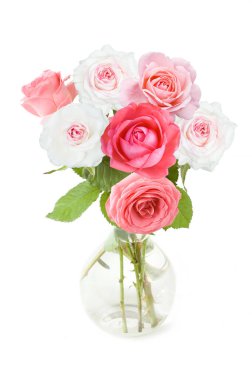 Beyaz arka planda izole güzel güller