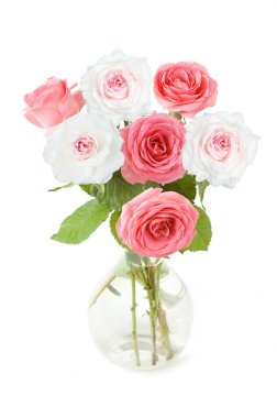 Beyaz arka planda izole güzel güller