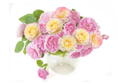 Beyaz arka planda izole güzel güller