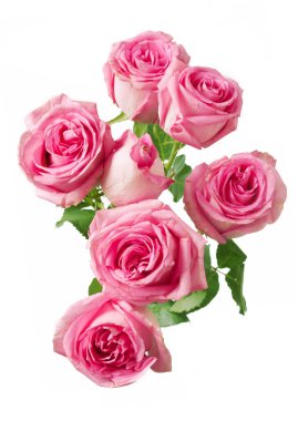 Beyaz arka planda izole güzel güller