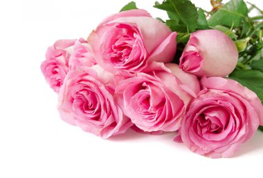 Beyaz arka planda izole güzel güller