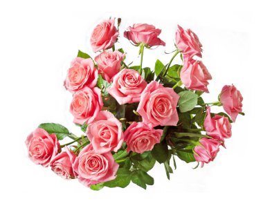 Beyaz arka planda izole güzel güller