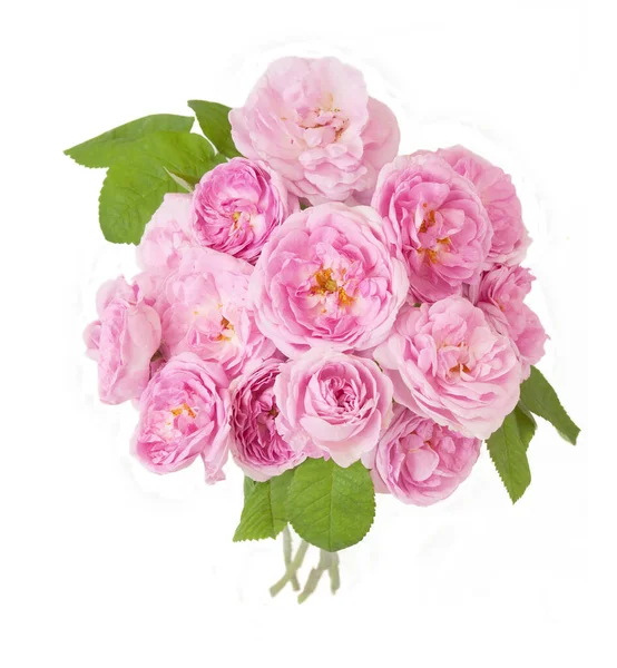 Beautiful Roses Bunch Isolated White Background — Stock Photo, Image