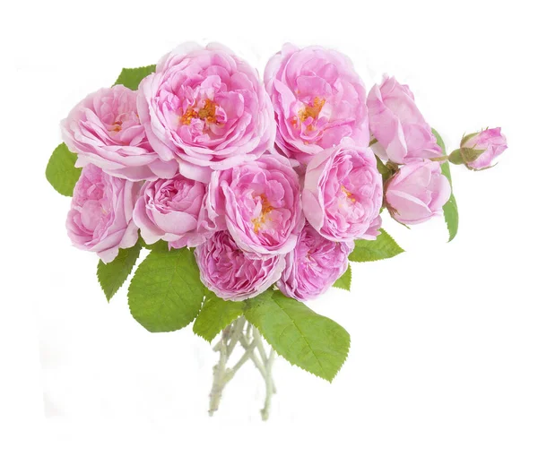 Gyönyörű Rózsa Csokor Elszigetelt Fehér Háttér — Stock Fotó