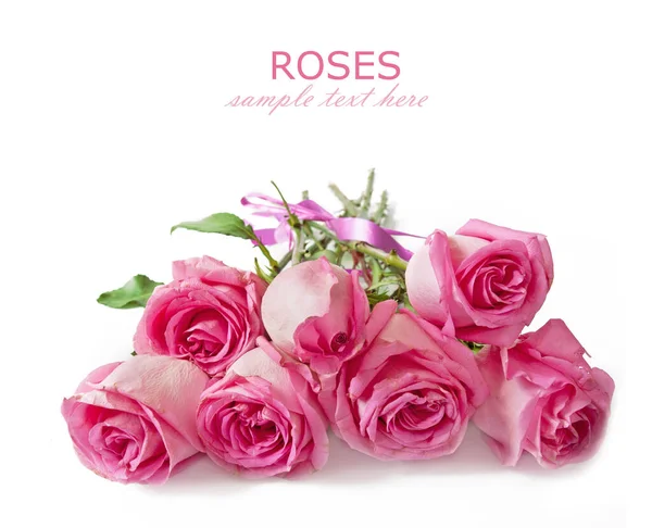 Beyaz arka planda izole güzel güller