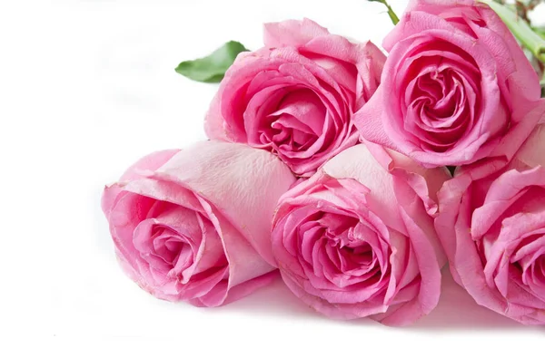 Beautiful Roses Bunch Isolated White Background — Stock Photo, Image