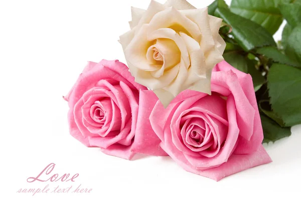 Beautiful Roses Bunch Isolated White Background — Stock Photo, Image