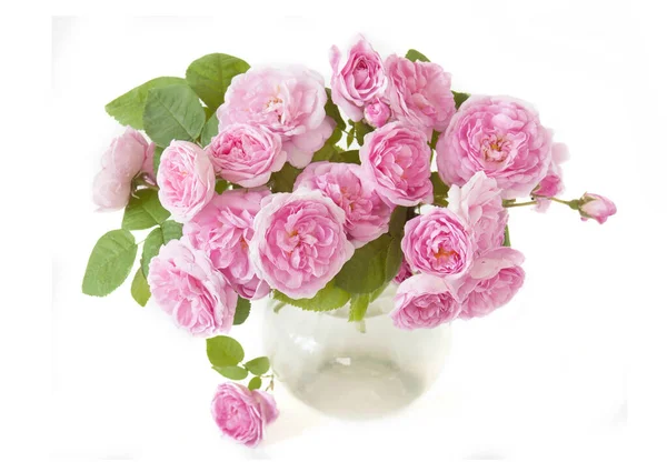 Όμορφα Τριαντάφυλλα Απομονωμένα Λευκό Φόντο — Φωτογραφία Αρχείου