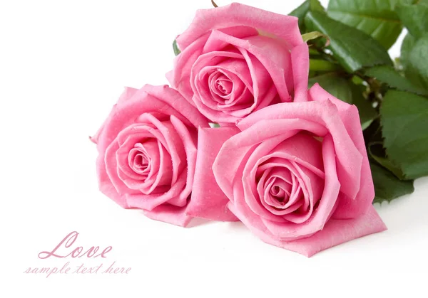 Beautiful Roses Bunch Isolated White Background — Stock Photo, Image