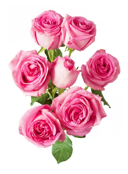 Hermosas Rosas Ramo Aislado Sobre Fondo Blanco —  Fotos de Stock
