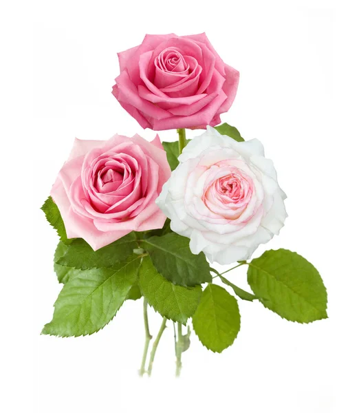 Gyönyörű Rózsa Csokor Elszigetelt Fehér Háttér — Stock Fotó