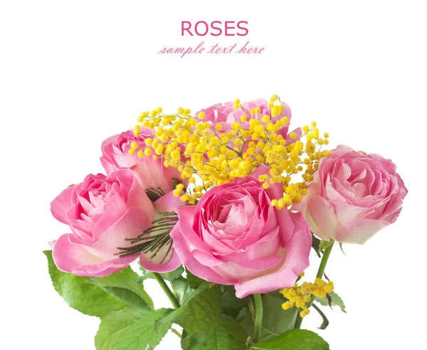 Beyaz arka planda izole güzel güller